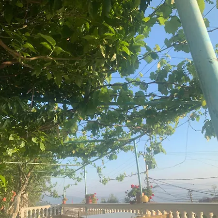 Bianca1 Гостевой дом Piqeras