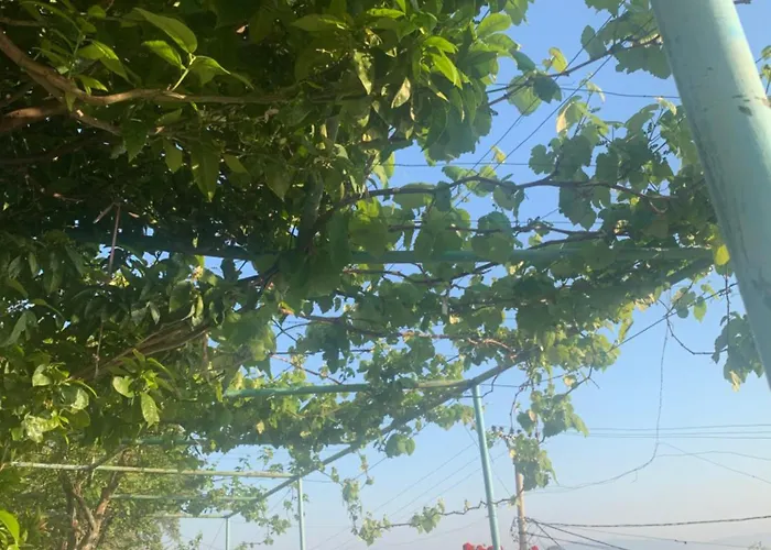 Bianca1 Vendégház Piqeras